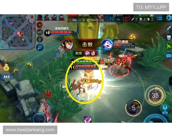 权威发布王者荣耀速度与实力双重榜单全面解析与解读