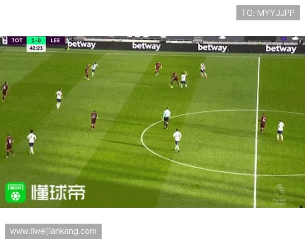 武汉足球队技术对比深度解析与未来发展趋势探讨